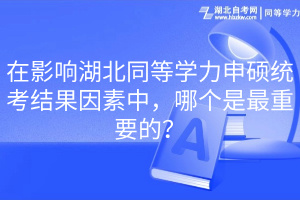 在影响湖北同等学力申硕统考结果因素中，哪个是最重要的？