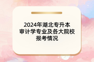 2024年湖北专升本审计学专业及各大院校报考情况