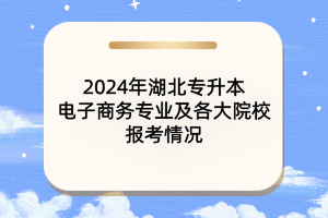 2024年湖北专升本电子商务专业及各大院校报考情况