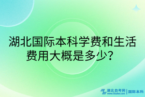 湖北国际本科学费和生活费用大概是多少？