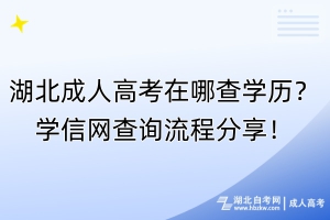 湖北成人高考在哪查学历？学信网查询流程分享！