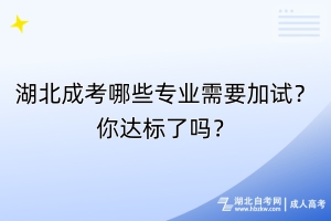 湖北成考哪些专业需要加试？你达标了吗？