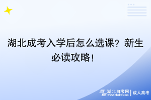 湖北成考入学后怎么选课？新生必读攻略！