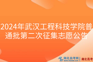 2024年武汉工程科技学院普通批第二次征集志愿公告