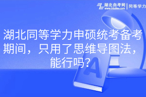 湖北同等学力申硕统考备考期间，只用了思维导图法，能行吗？