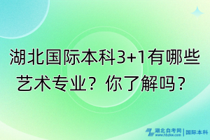 湖北国际本科3+1有哪些艺术专业？你了解吗？