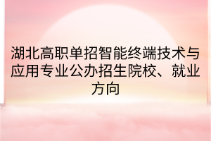 湖北高职单招智能终端技术与应用专业公办招生院校、就业方向