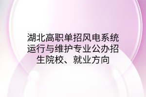 湖北高职单招风电系统运行与维护专业公办招生院校、就业方向