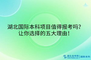 湖北国际本科项目值得报考吗？让你选择的五大理由！