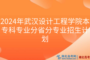 2024年武汉设计工程学院本专科专业分省分专业招生计划