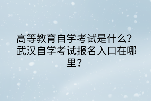 高等教育自学考试是什么？武汉自学考试报名入口在哪里？