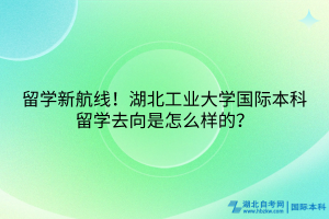 留学新航线！湖北工业大学国际本科留学去向是怎么样的？