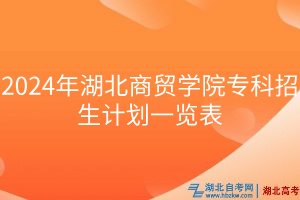 2024年湖北商贸学院专科招生计划一览表