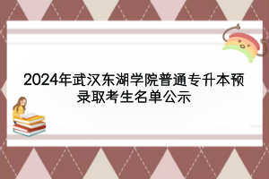 2024年武汉东湖学院普通专升本预录取考生名单公示