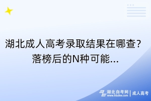 湖北成人高考录取结果在哪查？落榜后的N种可能...