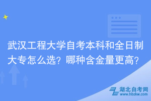 武汉工程大学自考本科和全日制大专怎么选？哪种含金量更高？