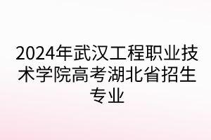 2024年武汉工程职业技术学院高考湖北省招生专业