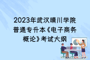 2023年武汉晴川学院普通专升本《电子商务概论》考试大纲