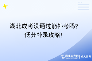 湖北成考没通过能补考吗？ 低分补录攻略！