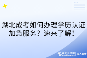 湖北成考如何办理学历认证加急服务?速来了解!