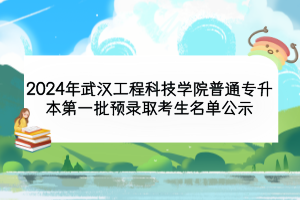 2024年武汉工程科技学院普通专升本第一批预录取考生名单公示