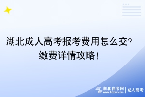 湖北成人高考报考费用怎么交？缴费详情攻略！