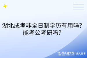 湖北成考非全日制学历有用吗？能考公考研吗？