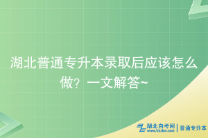 湖北普通专升本录取后应该怎么做？一文解答~