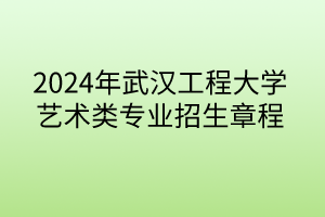 2024年武汉工程大学艺术类专业招生章程