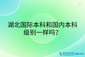 湖北国际本科和国内本科级别一样吗？