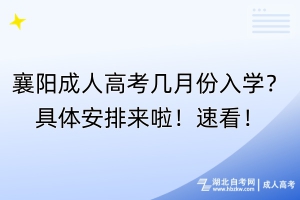 襄阳成人高考几月份入学？具体安排来啦！速看！