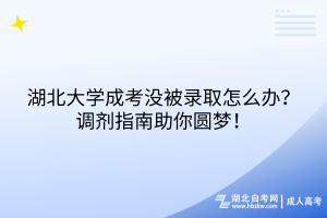 湖北大学成考没被录取怎么办？调剂指南助你圆梦！