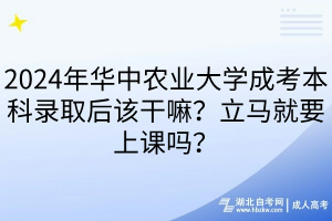 2024年华中农业大学成考本科录取后该干嘛？立马就要上课吗？