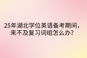 25年湖北学位英语备考期间，来不及复习词组怎么办？