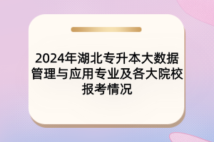 2024年湖北专升本大数据管理与应用专业及各大院校报考情况