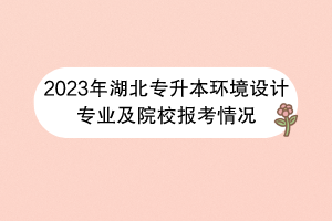 2023年湖北专升本环境设计专业及院校报考情况