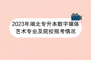 2023年湖北专升本数字媒体艺术专业及院校报考情况