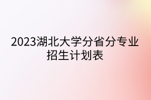 2023湖北大学分省分专业招生计划表