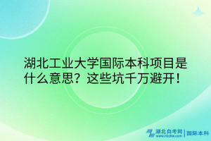 湖北工业大学国际本科项目是什么意思？这些坑千万避开！