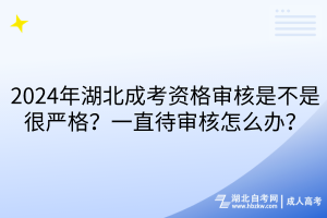 2024年湖北成考资格审核是不是很严格？一直待审核怎么办？