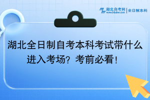 湖北全日制自考本科考试带什么进入考场？考前必看！