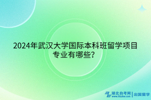 2024年武汉大学国际本科班留学项目专业有哪些？