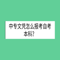 中专文凭怎么报考自考本科？