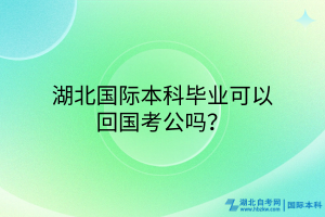 湖北国际本科毕业可以回国考公吗？