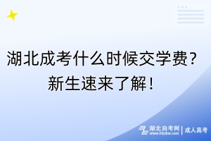 湖北成考什么时候交学费？新生速来了解！