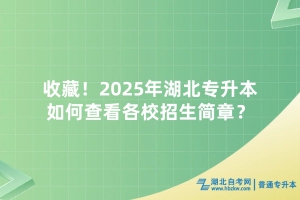 收藏！2025年湖北专升本如何查看各校招生简章？