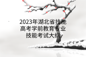 2023年湖北省技能高考学前教育专业技能考试大纲