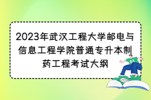 2023年武汉工程大学邮电与信息工程学院普通专升本制药工程考试大纲