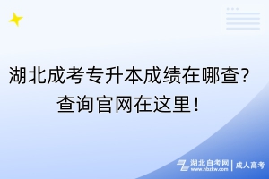 湖北成考专升本成绩在哪查？查询官网在这里！