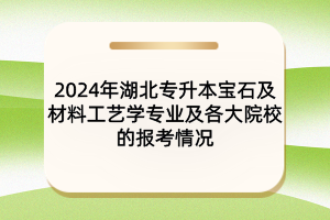 2024年湖北专升本宝石及材料工艺学专业及院校报考情况